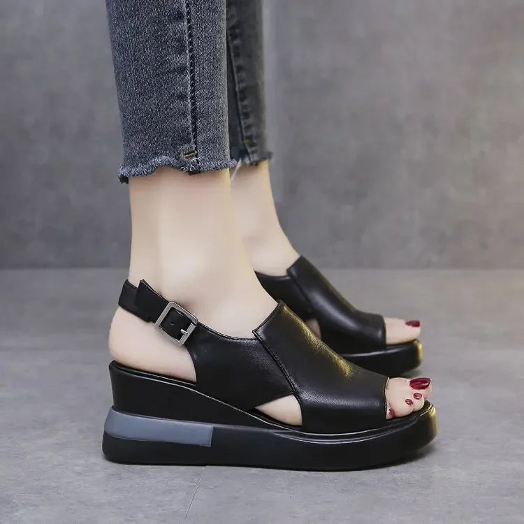 BRIELLE – PLATFORM SLIDES